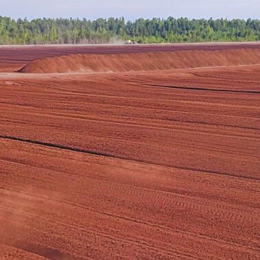 Raw Baltic peat